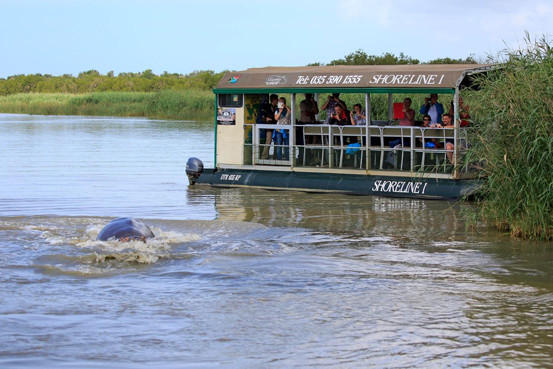Hippo attacks: How to avoid one of Africa’s most dangerous animals This tourist boat observes hippos in Isimangaliso Wetland Park in South Africa. Larger vessels can offer more protection from a sudden hippo attack.
