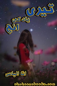 Teri Yad Ki Aanch By Ana Ilyas - Romantic Urdu Novels teri-yad-ki-aanch-by-ana-ilyas