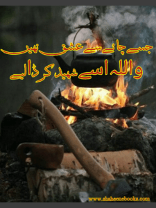 Chaey Poetry