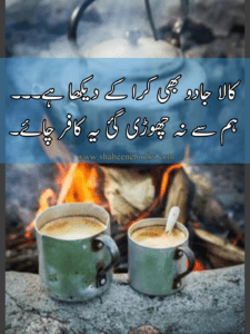 Chaey Poetry