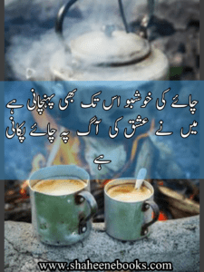 Chaey Poetry