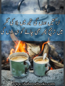 Chaey Poetry
