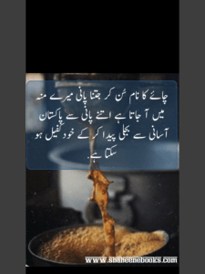 Chaey Poetry