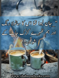 Chaey Poetry