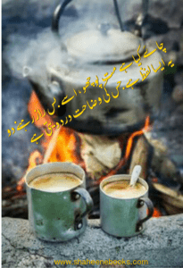 Chaey Poetry