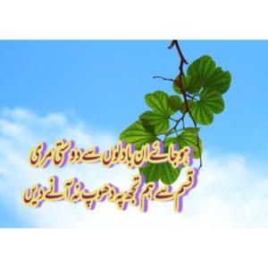 Friendship Shayari | Friendship Poetry | Dost Shayari Friendship Shayari