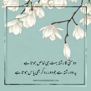 Friendship Shayari | Friendship Poetry | Dost Shayari Friendship Shayari