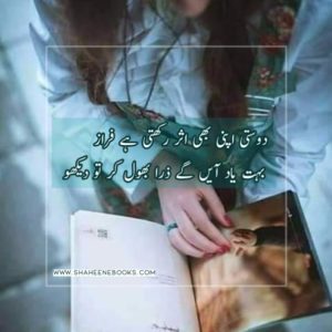 Friendship Shayari | Friendship Poetry | Dost Shayari Friendship Shayari