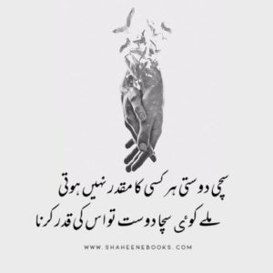 Friendship Shayari | Friendship Poetry | Dost Shayari Friendship Shayari