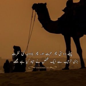 Friendship Shayari | Friendship Poetry | Dost Shayari Friendship Shayari