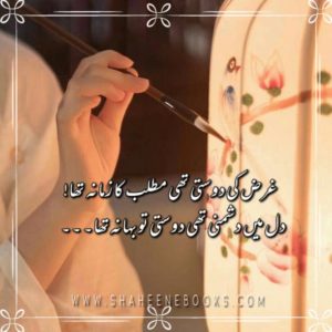 Friendship Shayari | Friendship Poetry | Dost Shayari Friendship Shayari