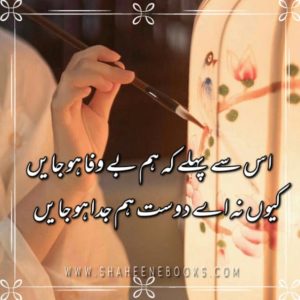 Friendship Shayari | Friendship Poetry | Dost Shayari Friendship Shayari
