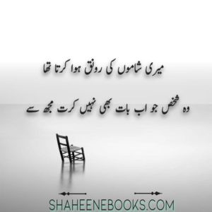 Urdu Love Shayari