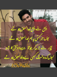 Friendship Shayari | Friendship Poetry | Dost Shayari Friendship Shayari