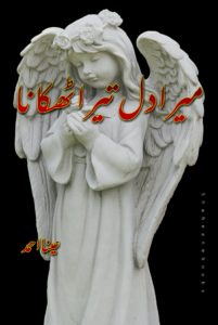 Mera Dil Tera Thikana Novel Mera Dil tera Thikana Novel