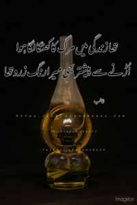 Ghalib Poetry Ghalib Poetry