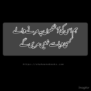 Poetry | Urdu Poetry | Best Urdu Poetry Urdu poetry