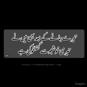 Poetry | Urdu Poetry | Best Urdu Poetry Urdu poetry