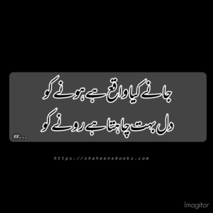 Poetry | Urdu Poetry | Best Urdu Poetry Poetry | Urdu Poetry | Best Urdu Poetry