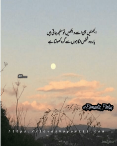 Romantic Poetry | 50+ Love Poetry | Urdu Romantic Poetry