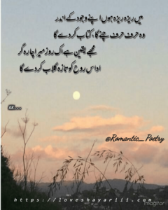 Romantic Poetry | 50+ Love Poetry | Urdu Romantic Poetry