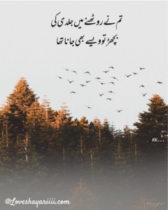 Pics of Sad Poetry | Best Urdu Poetry | 100+ Pics of Poetry Pics of Sad Poetry