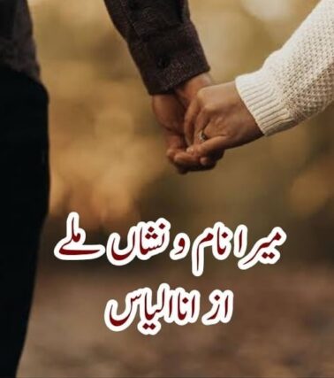 Mera Naam O Nishan Mile By Ana Ilyas