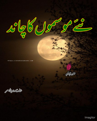 Naye Mausam Ka Chand Novel