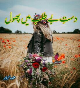 Dust e Betalab Main Phool Novel by Effat Sehar | Best Urdu Novels Dust e Betalab Main Phool Novel by Effat Sehar