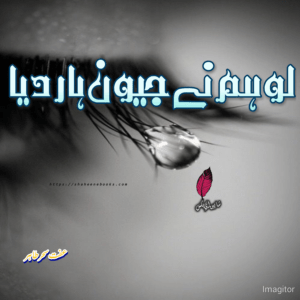 Lo Humne Jeevan Haar Diya Novel