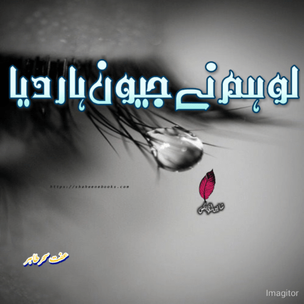Lo Humne Jeevan Haar Diya Novel