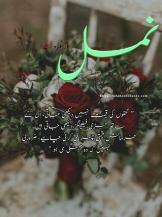 Namal by Nimra Ahmed Complete Novel