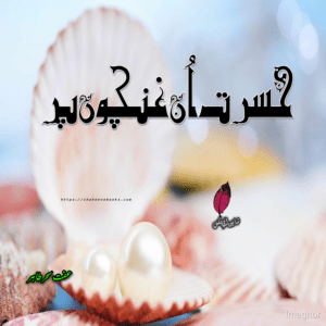 Hasrat Un Gancho Pay Novel | Best Urdu Novels Hasrat Un Gancho Pay