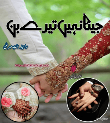 Tere Bin Novel