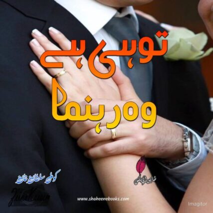 Tu He Hai Wo Rehnuma Novel