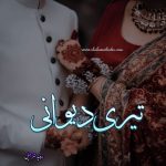 Teri Deewani by Zeenia Sharjeel | Teri Deewani Novel PDF | Best Novels Teri Deewani by Zeenia Sharjeel | Teri Deewani Novel PDF | Best Novels