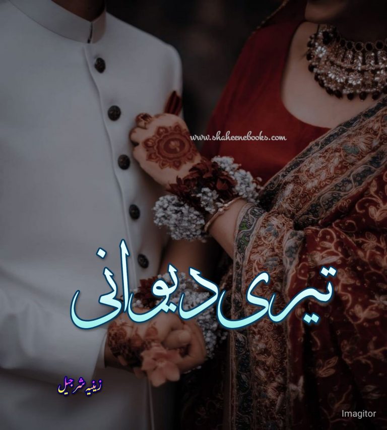 Teri Deewani by Zeenia Sharjeel